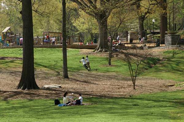Trees Atlanta to plant 200 trees at Chastain Park