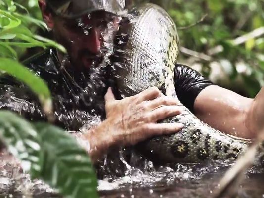Man Eaten By Anaconda Last Thing I Saw Was Her Mouth 11alive