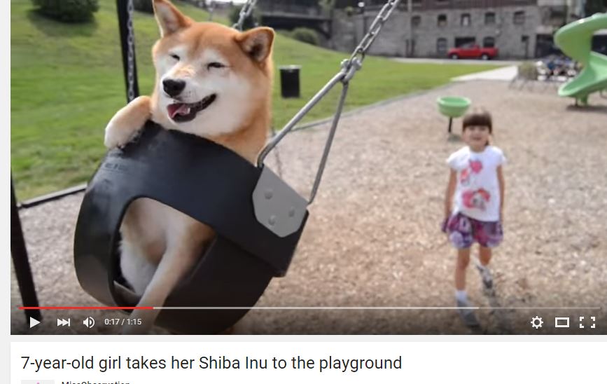 Watch 7yearold play with her shiba inu at the playground