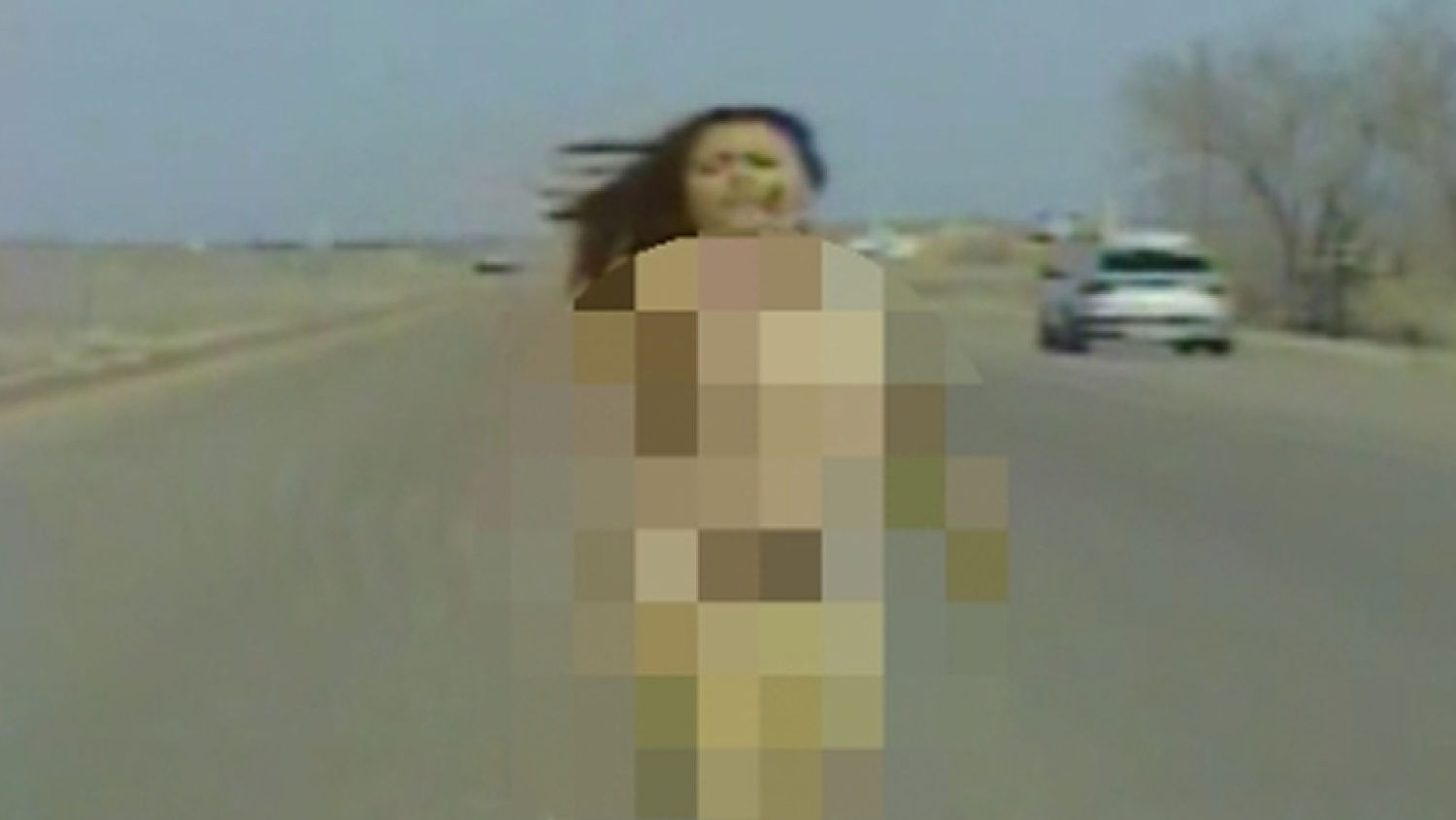 VIDEO: Naked driver flees police | 11alive.com