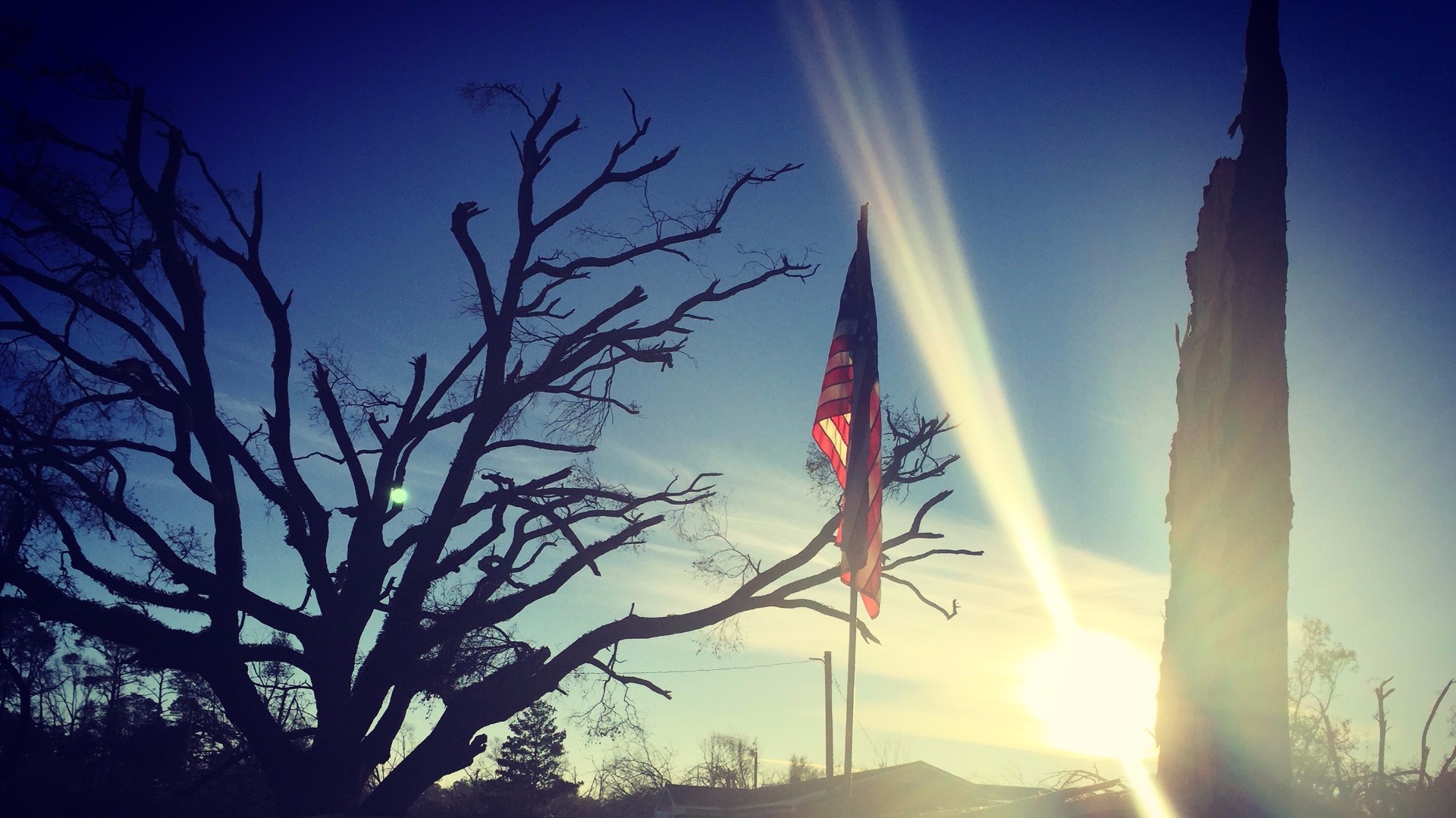 Albany veteran digs through rubble to find, fly American flag - 11alive.com