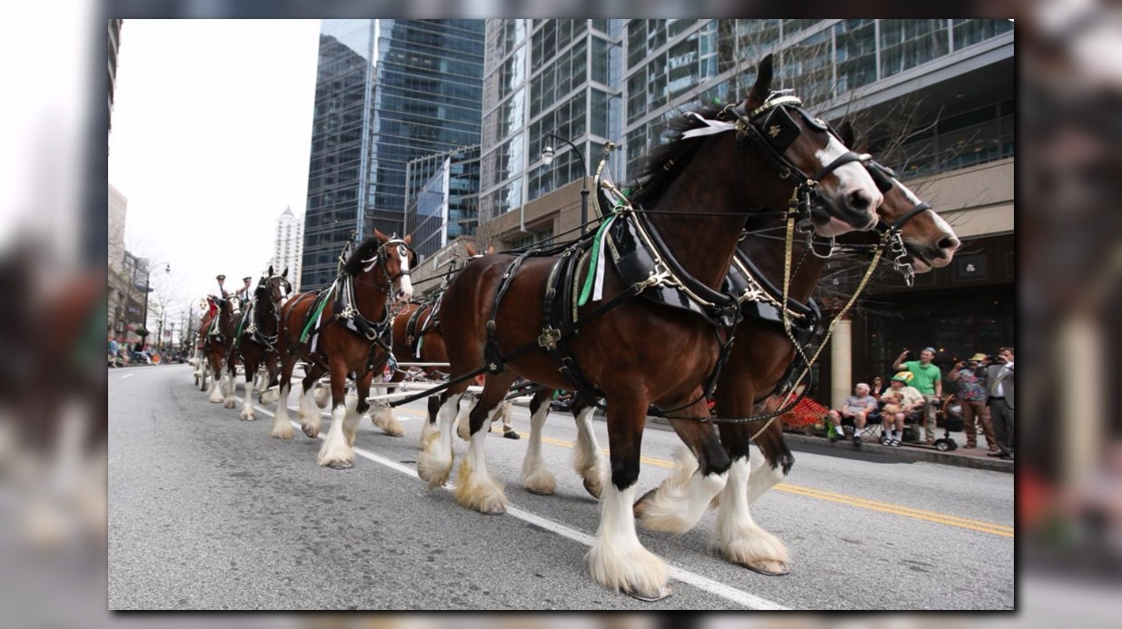 Atlanta St. Patrick Day parade set for Saturday