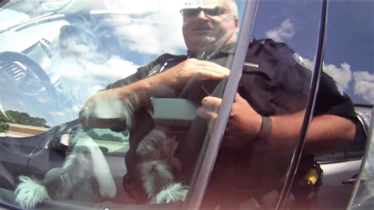 Roswell police rescue dogs from heat stroke in hot car