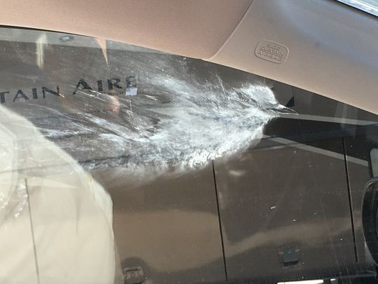 Imprint left by a bird that collided with Joan and Bud Miller's Honda on I-75