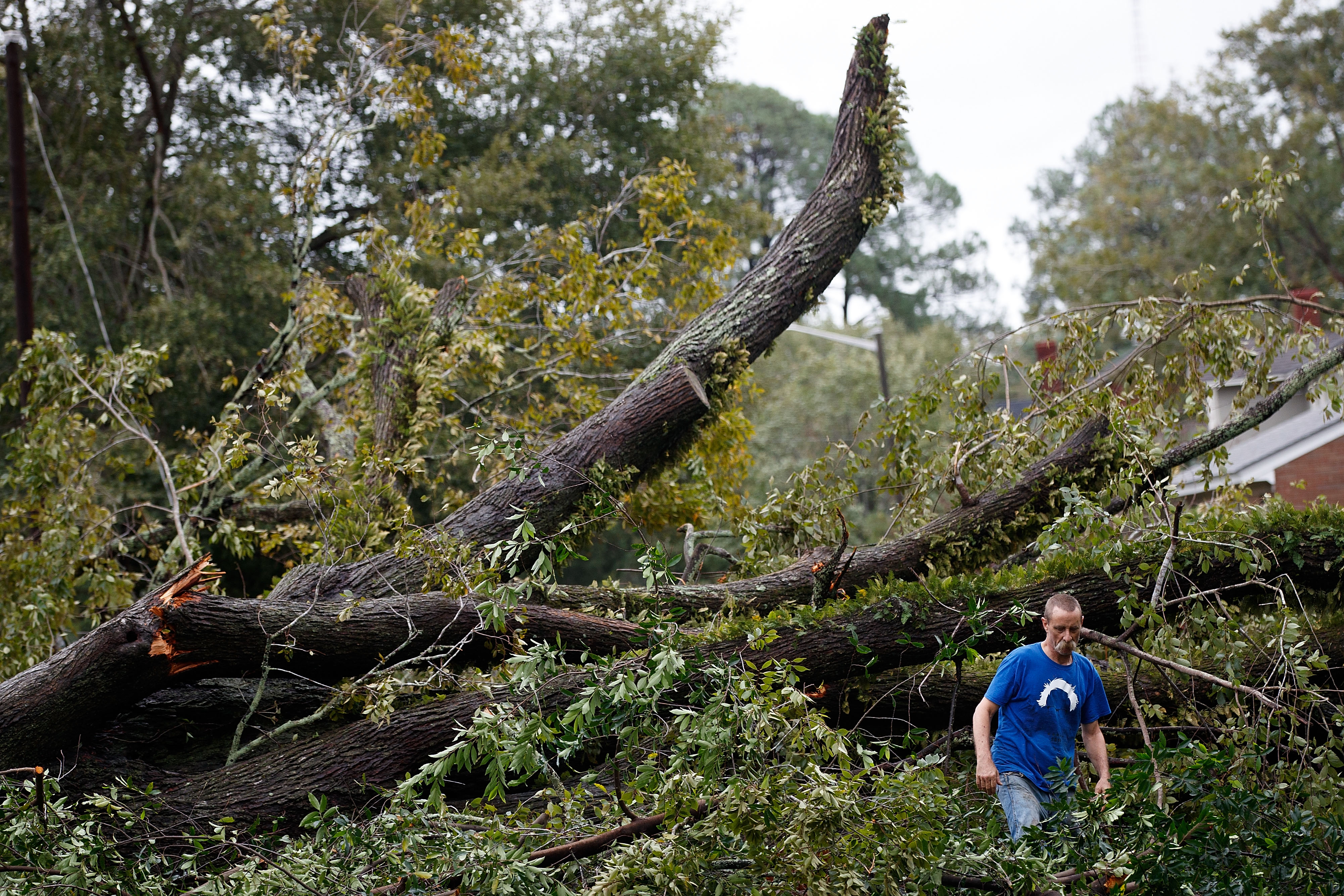 11alive.com | Savannah, Brunswick begin surveying damage after ...